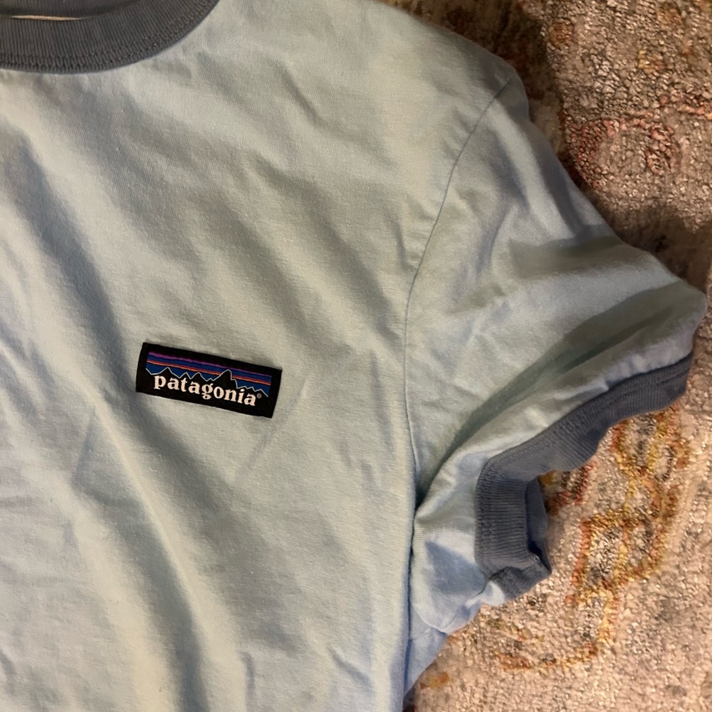 Patagonia Organic Cotton Ringer Tee
